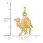 Camel Charm - WBC