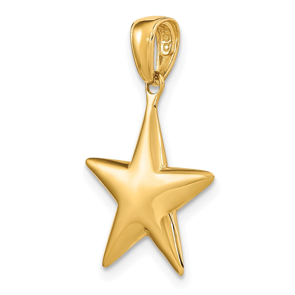 Polished 3-D Star Pendant - WBC