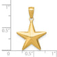 Polished 3-D Star Pendant - WBC