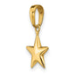 Small Polished 3-D Star Charm - WBC