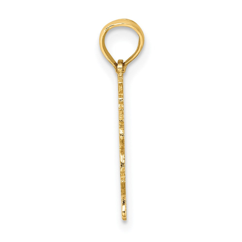 100% ARIES Zodiac Charm - WBC