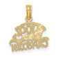 100% CAPRICORN Zodiac Charm - WBC