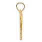 Camel with Fancy Saddle Charm - WBC