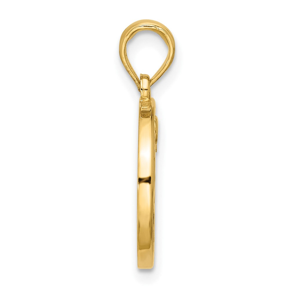Polished Round Aries Pendant - WBC