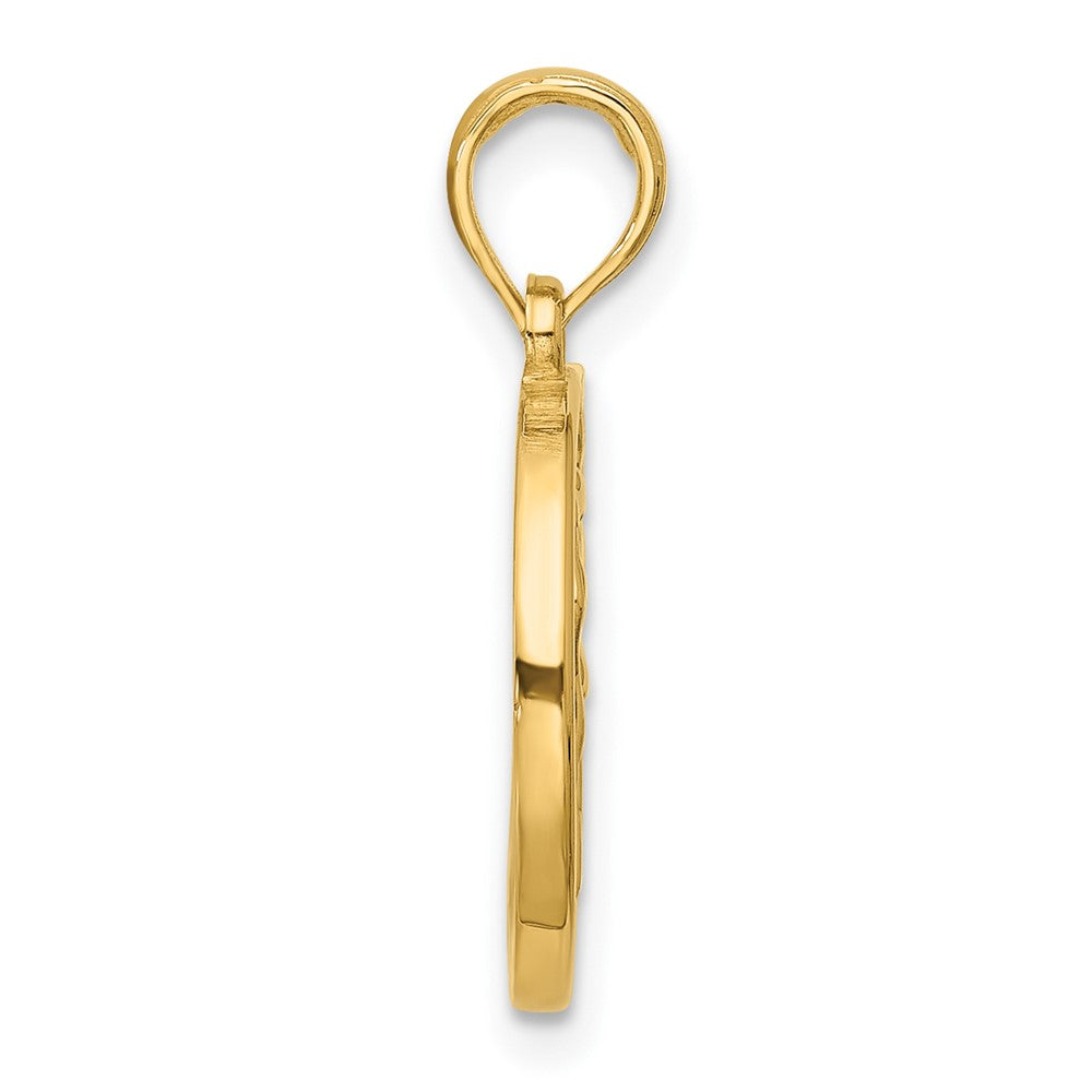 Polished Round Aquarius Pendant - WBC