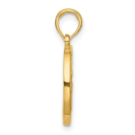 Polished Round Aquarius Pendant - WBC