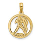 Polished Round Aquarius Pendant - WBC