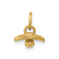 Polished Baby Pacifier Pendant - WBC