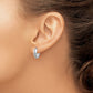 Diamond Fascination Dia. Dust/Accent Round Hoop Earrings - WBC