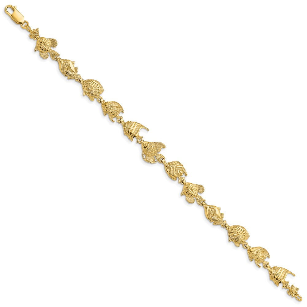 Polished Tropical Fish Bracelet - WBC
