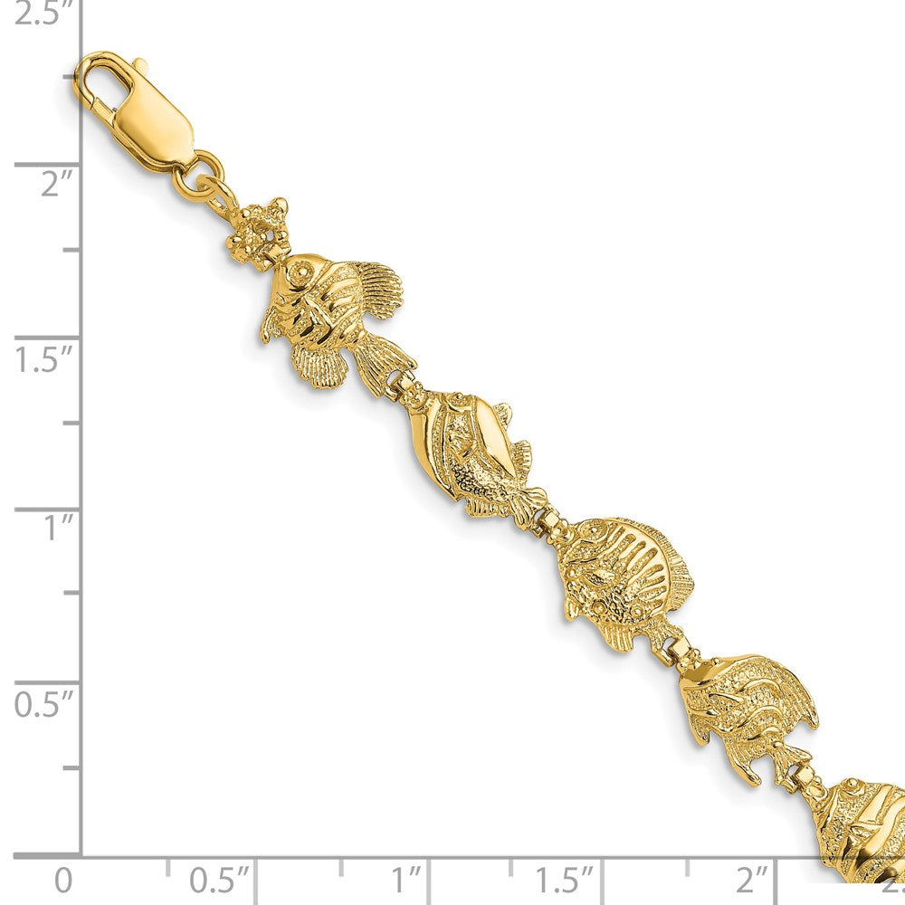 Polished Tropical Fish Bracelet - WBC