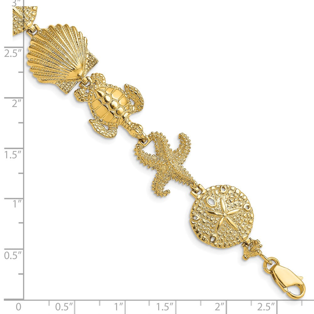 Polished Sand Dollar/Starfish/Turtle Link Bracelet - WBC