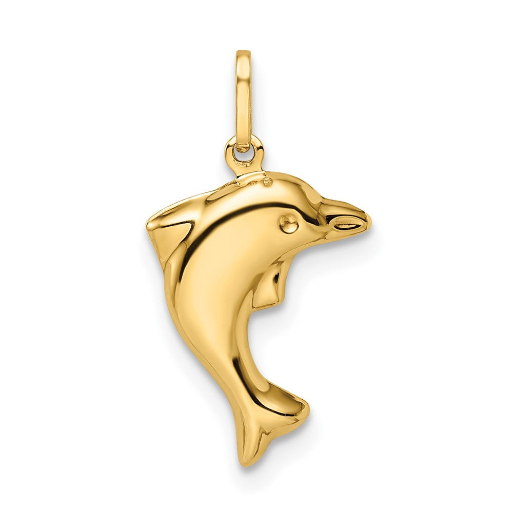 Polished 3-D Dolphin Pendant - WBC