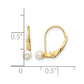 Madi K 3- Round Freshwater Cultured Pearl Leverback Earrings - WBC