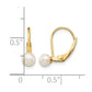 Madi K 4- Round Freshwater Cultured Pearl Leverback Earrings - WBC