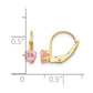 Madi K Pink CZ Childrens Leverback Earrings - WBC