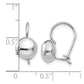 Polished Button Kidney Wire Earrings - WBC