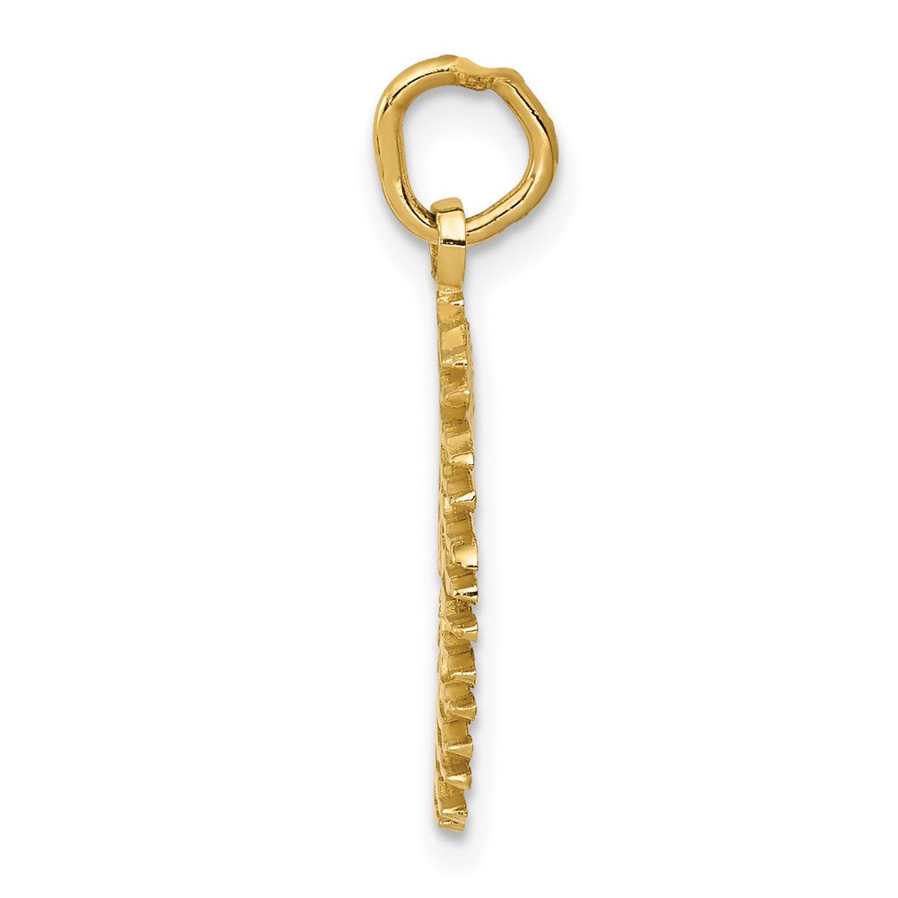 Flaming Sun Charm - WBC