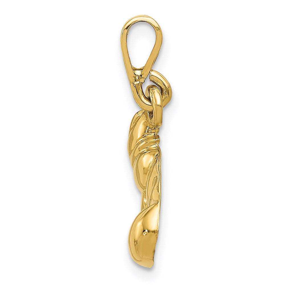 Boxing Glove Pendant - WBC
