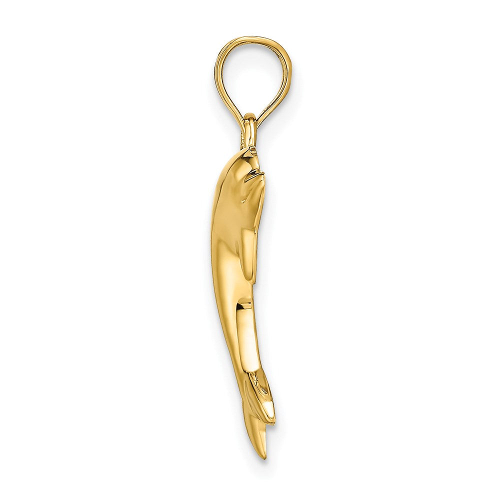 Polished Dolphin Charm - WBC