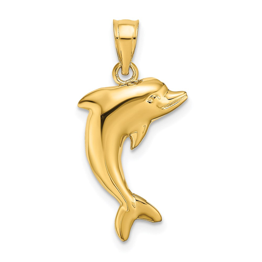 Polished Dolphin Charm - WBC