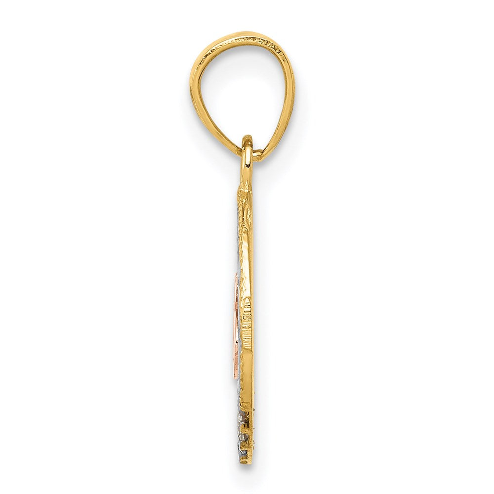 Two-tone with Rhodium CZ 15 in Circle Pendant - WBC