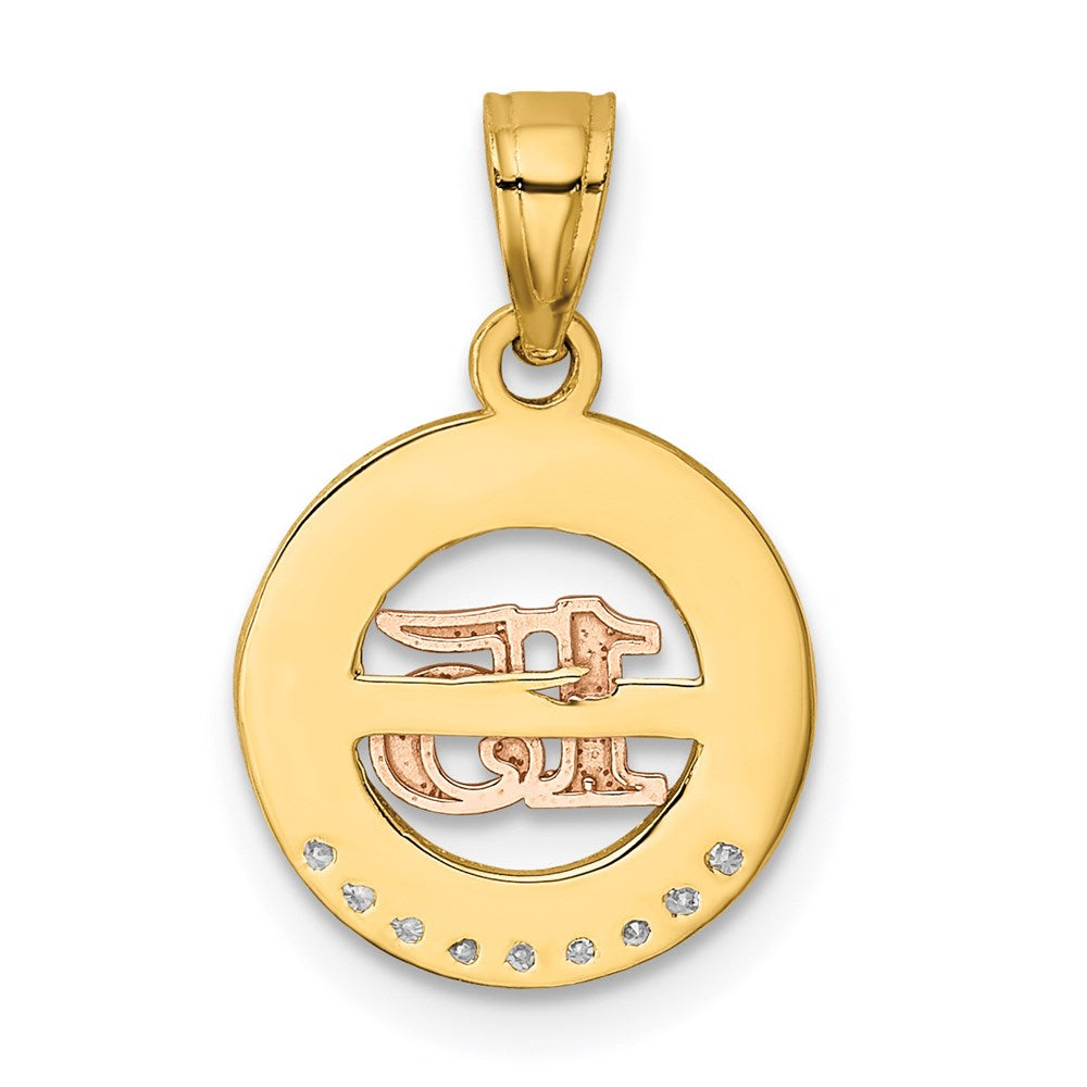 Two-tone with Rhodium CZ 15 in Circle Pendant - WBC