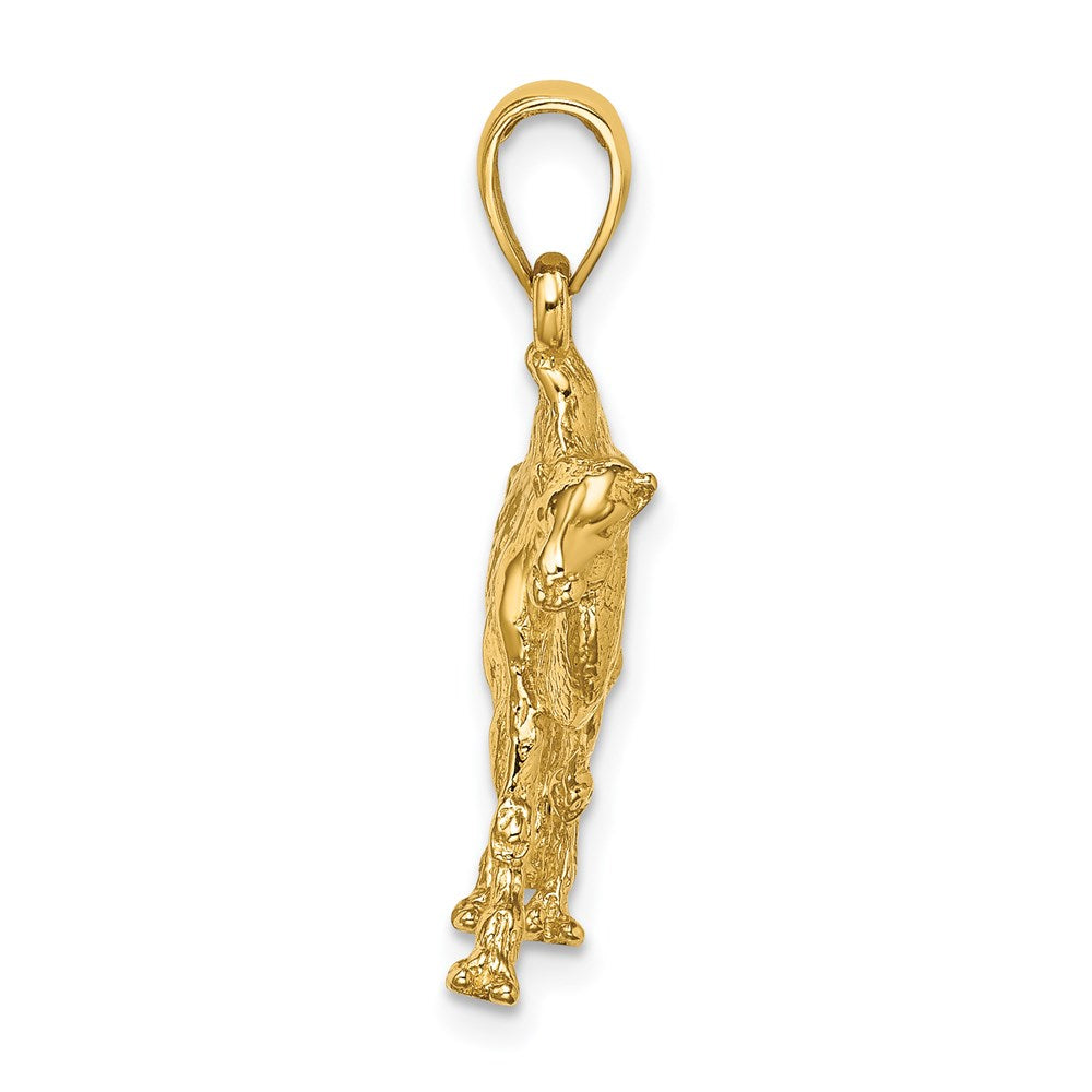 3-D Camel Charm - WBC