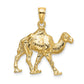 3-D Camel Charm - WBC
