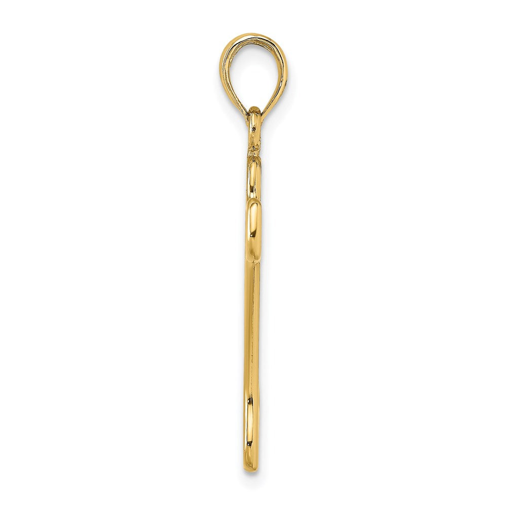 Cut-Out Polished Dog Bone Charm - WBC