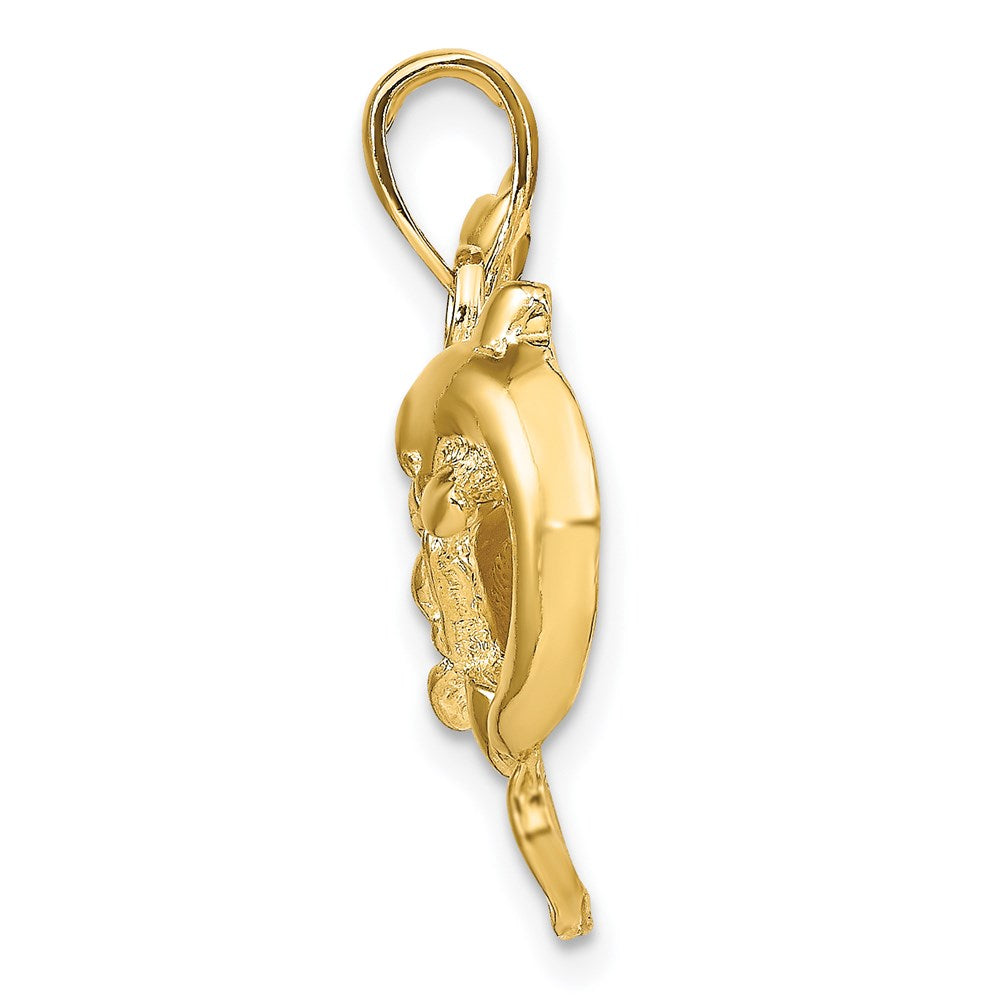 Dolphins Pendant - WBC
