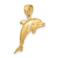3-D Polished and Textured Jumping Dolphin Charm - WBC