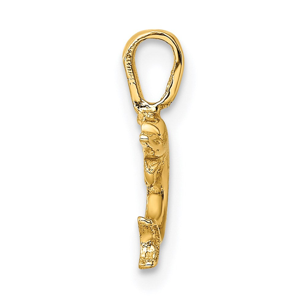 Mini Jumping Dolphin with Fixed Bail Charm - WBC