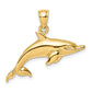 Polished Swimming Dolphin Charm - WBC