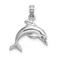 3-D Dolphin Jumping Charm - WBC