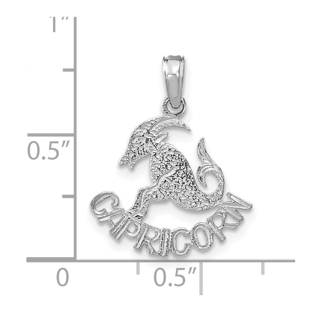 CAPRICORN Zodiac Charm - WBC