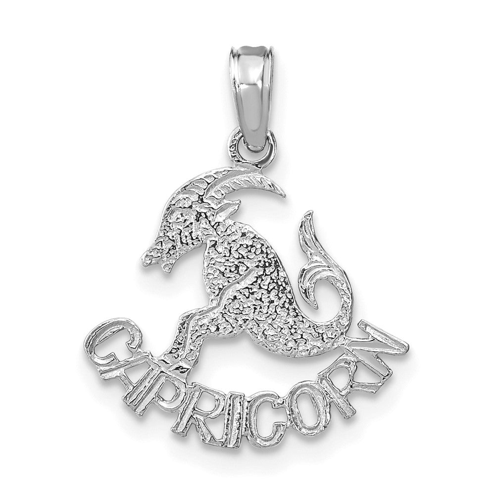 CAPRICORN Zodiac Charm - WBC