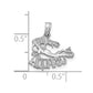AQUARIUS Zodiac Charm - WBC