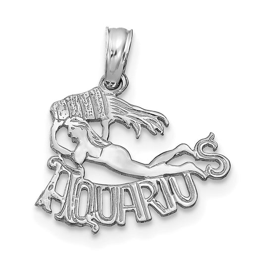 AQUARIUS Zodiac Charm - WBC