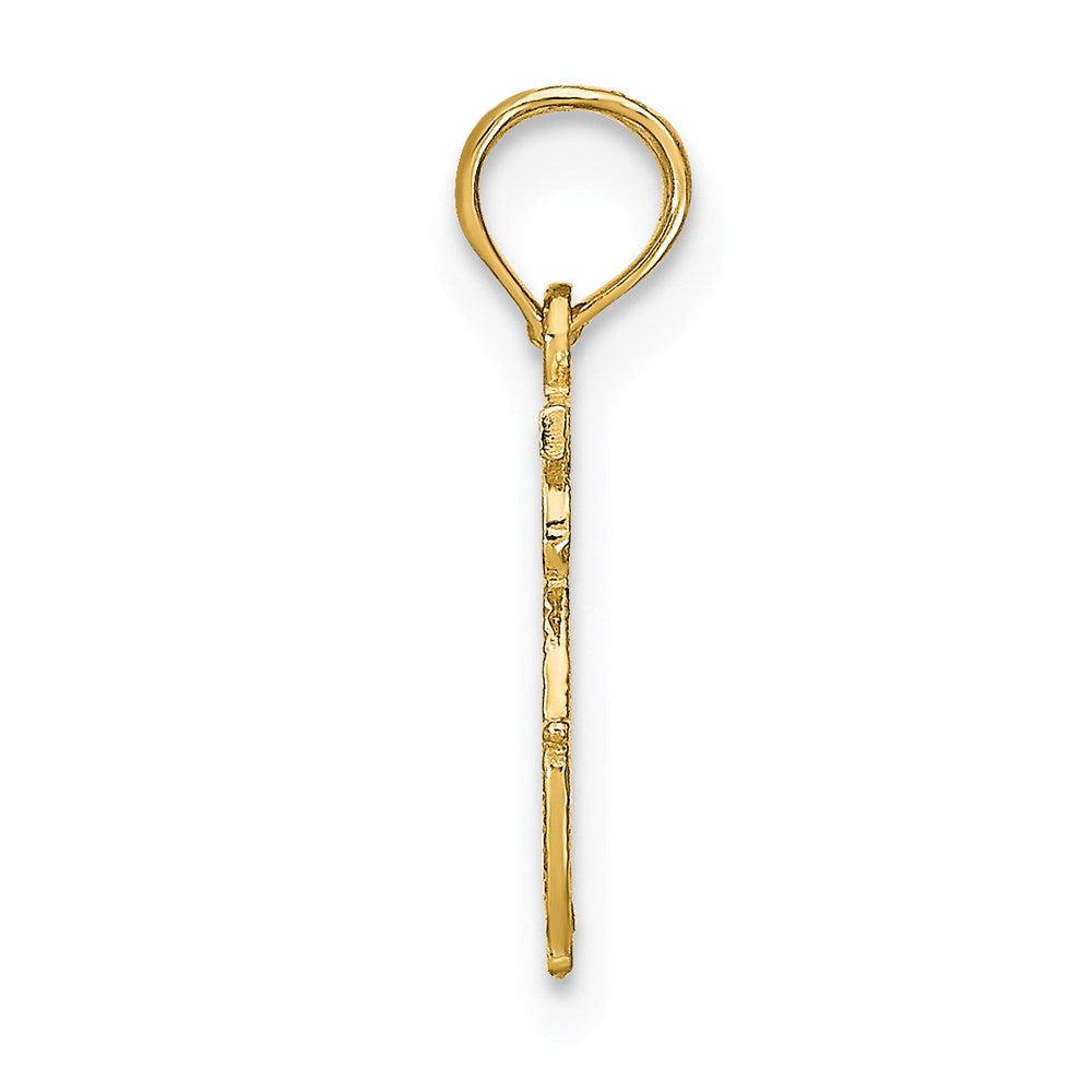 ARIES Zodiac Charm - WBC