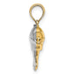 and Rhodium 3-D Reversible Puffed Dolphin Charm - WBC