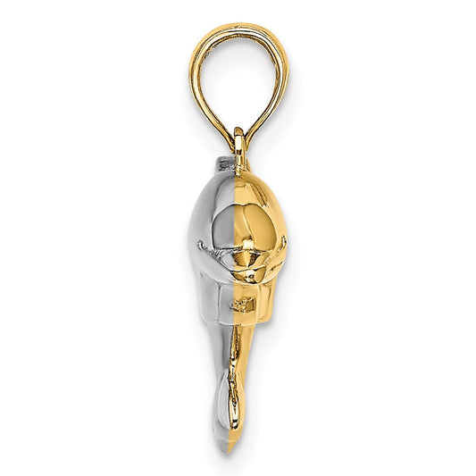 and Rhodium 3-D Reversible Puffed Dolphin Charm - WBC