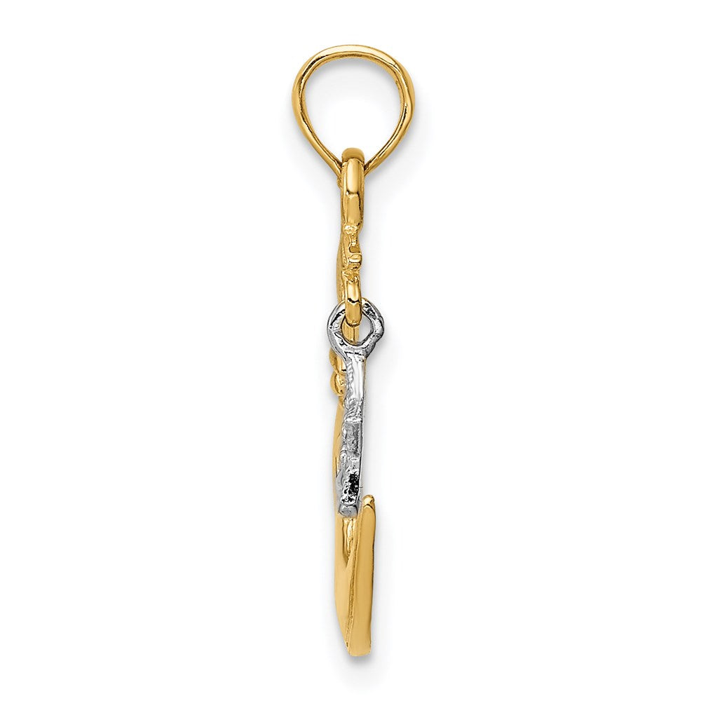 Two-Tone Polished Half Moon and Dangle Star Pendant - WBC