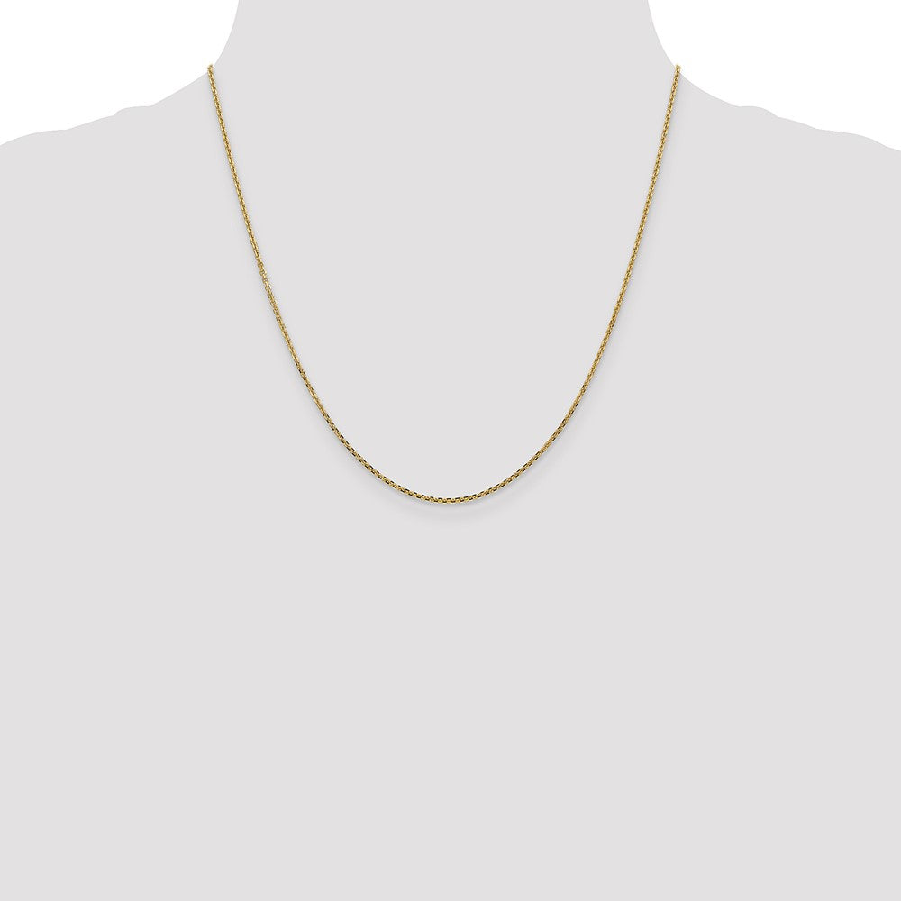 Solid Diamond-cut Cable with Lobster Clasp Chain - WBC