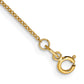 . Cable with Spring Ring Clasp Anklet - WBC