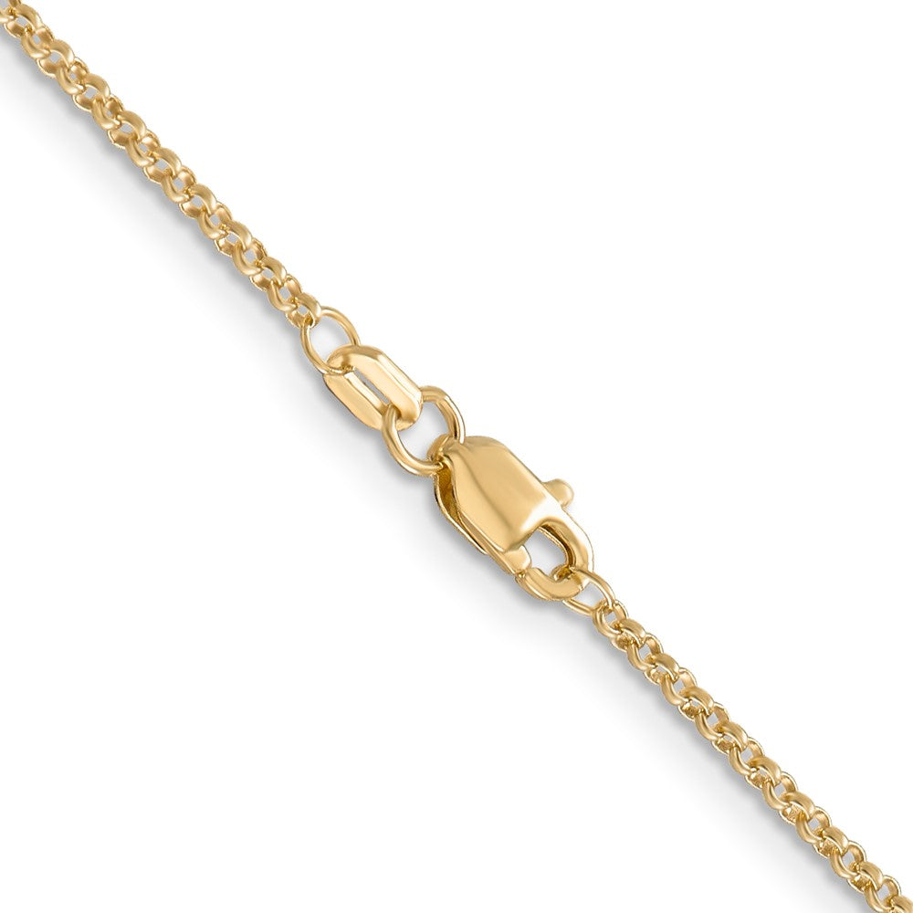 Rolo with Lobster Clasp Pendant Chain - WBC