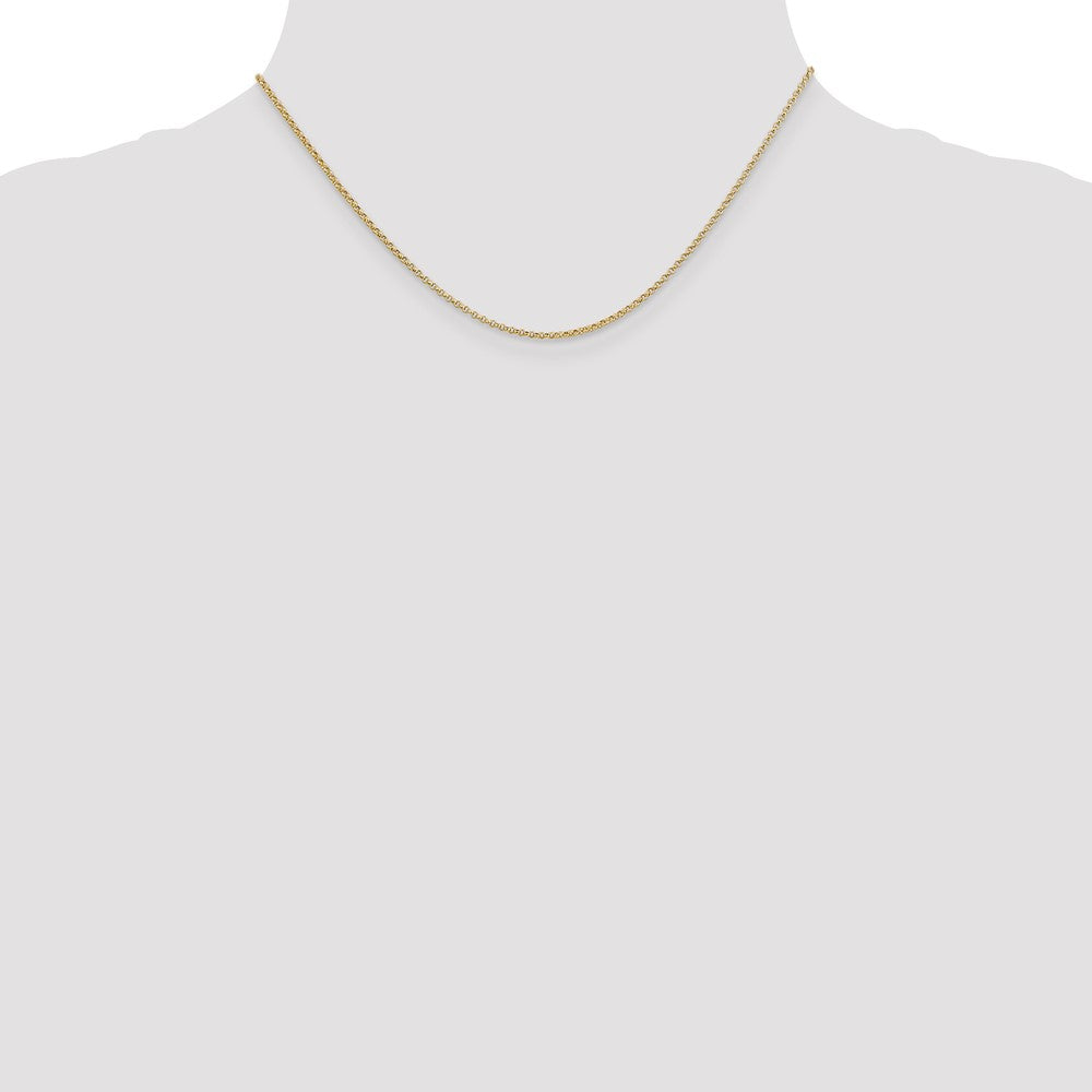Rolo with Lobster Clasp Pendant Chain - WBC