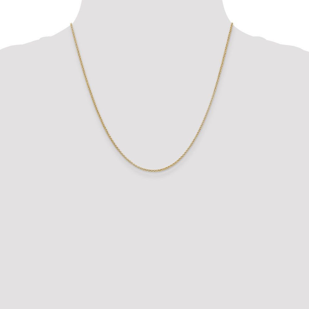 Rolo with Lobster Clasp Pendant Chain - WBC
