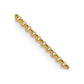 Rolo Pendant Chain - WBC