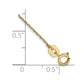 . Diamond-cut Cable with Spring Ring Clasp Anklet - WBC